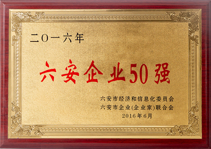 Top 50 Lu'an Enterprises in 2016