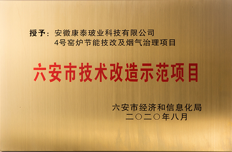 六安市技术改造示范项目